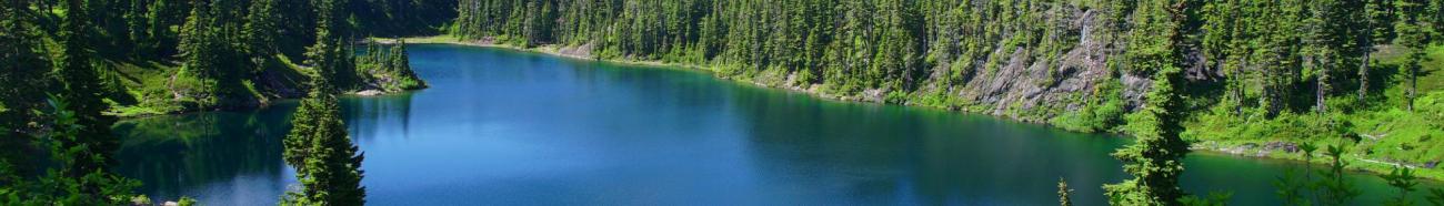 Baker Lake, encased by lush evergreen forests under a pristine blue sky, mirrors the vibrant greens in its clear waters